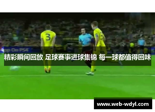 精彩瞬间回放 足球赛事进球集锦 每一球都值得回味