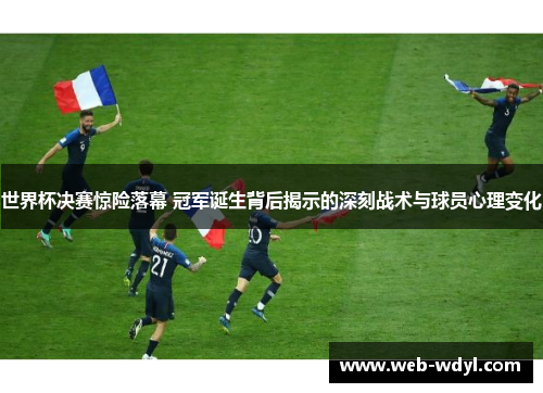 世界杯决赛惊险落幕 冠军诞生背后揭示的深刻战术与球员心理变化