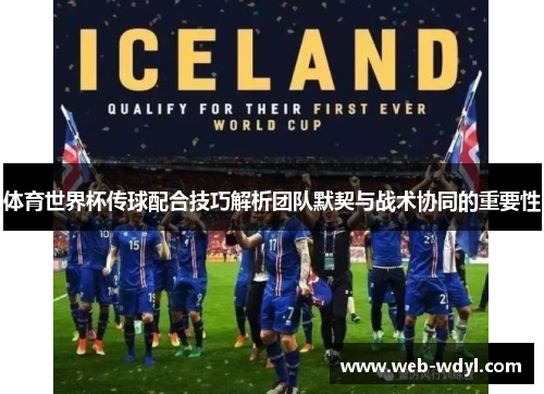 体育世界杯传球配合技巧解析团队默契与战术协同的重要性