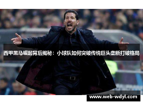 西甲黑马崛起背后揭秘：小球队如何突破传统巨头垄断打破格局