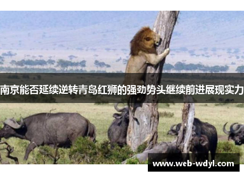 南京能否延续逆转青岛红狮的强劲势头继续前进展现实力