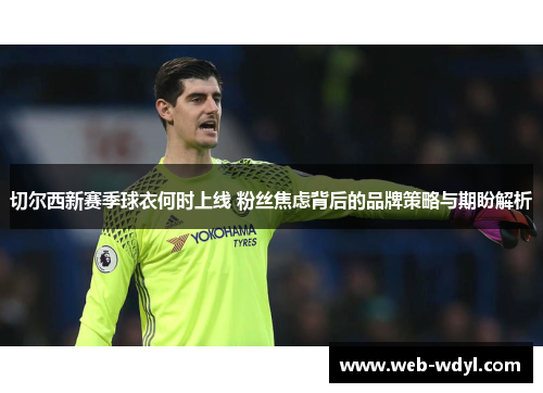 切尔西新赛季球衣何时上线 粉丝焦虑背后的品牌策略与期盼解析