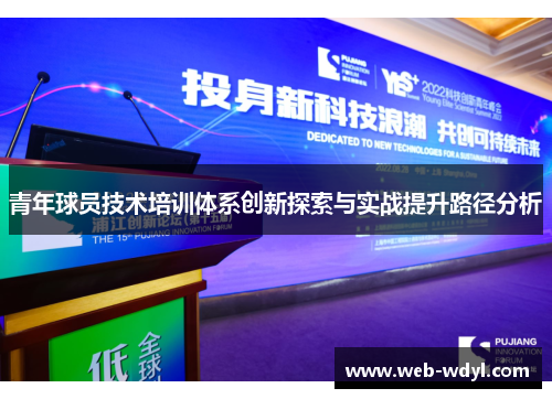 青年球员技术培训体系创新探索与实战提升路径分析